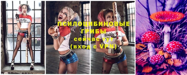 сатива Горняк