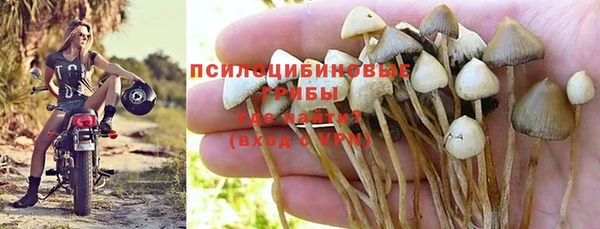 apvp Гусиноозёрск