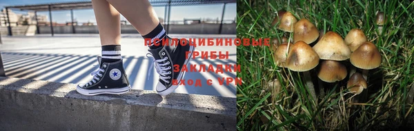 метадон Гусев