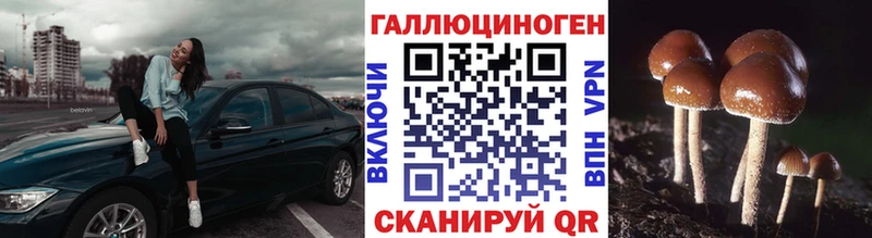 Псилоцибиновые грибы прущие грибы  Кизел 